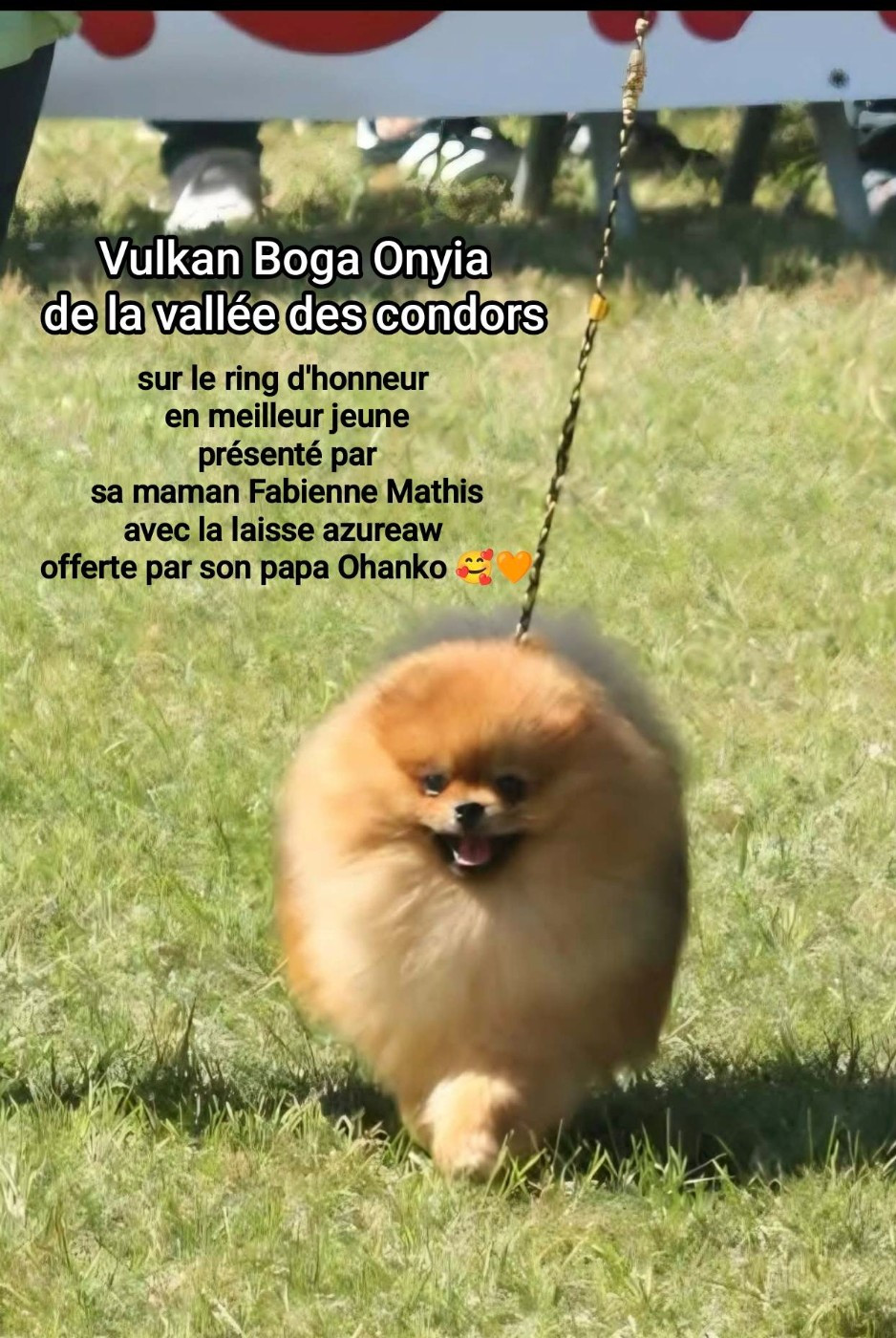 Vulkan Boga Onyia de la vallee des Condors